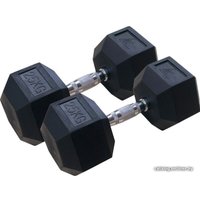 Набор гантелей DFC DB001-25 2x25 кг