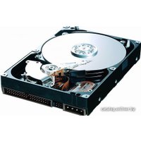 Жесткий диск Samsung SpinPoint P120S 250Гб (SP2504C)