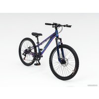 Велосипед Maxter PL1000 2024 (синий хамелеон)