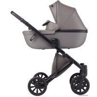 Универсальная коляска Anex E/type 2022 (2 в 1, gothic et-03A)