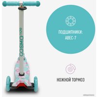 Трехколесный самокат Cosmoride Funny S910W (цветы)