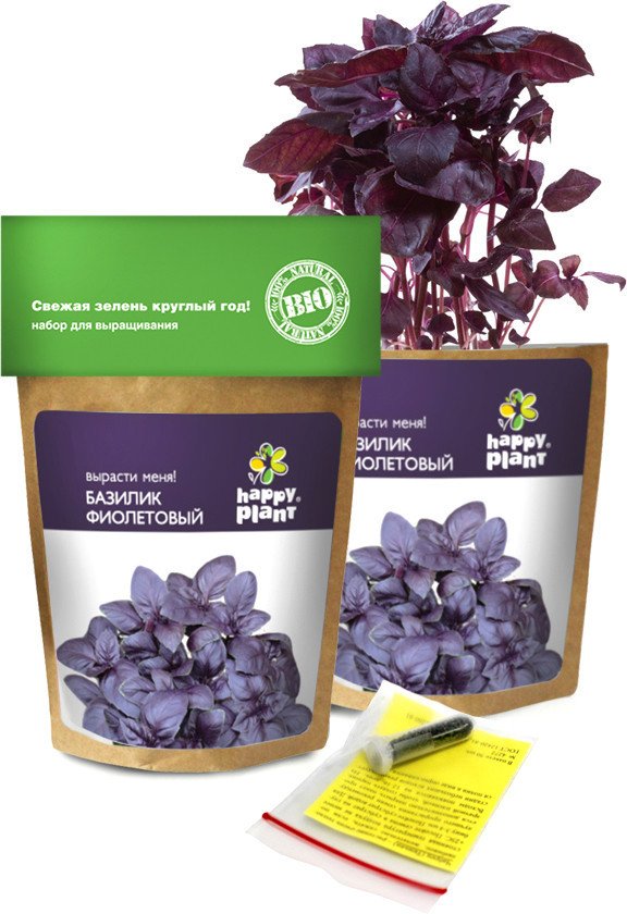 

Набор для опытов Happy plant Базилик фиолетовый hpn-5