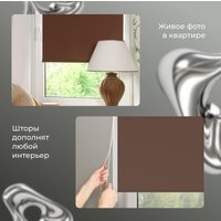 Рулонные шторы Franc Gardiner Blackout Silver 55x160 7799125 (шоколад)