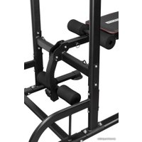 Турник с брусьями Alpin Athletics G-11