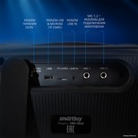 Беспроводная колонка SmartBuy Evolution 2 SBS-5560