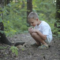 Классическая игрушка Hansa Сreation Ежик 3101 (20 см)