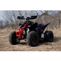 Квадроцикл Motoland Rally 250 (черный/красный)