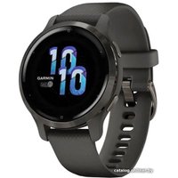 Умные часы Garmin Venu 2S (сланцевая нержавеющая сталь/черный)