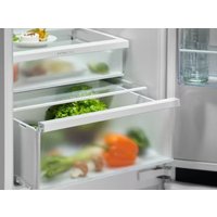 Холодильник Electrolux E6MNTE19S