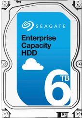 Enterprise Capacity 6TB (ST6000NM0095)