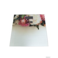 Напольные весы Beon BN-1105