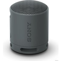 Беспроводная колонка Sony XB100 (черный)