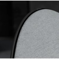 Напольная акустика Bang & Olufsen BeoPlay A9 (антрацит, 4-ое поколение)