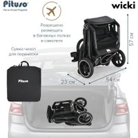 Коляска прогулочная «книга» Pituso Wicki ABF2022 (графитовый)