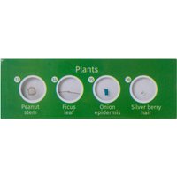 Набор микропрепаратов Levenhuk LabZZ P12 72869 (растения) в Гомеле