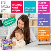 Мозаика/пазл Айрис-Пресс IQ деревянный. Чей это домик? 2+ 9785811282654