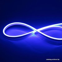 Гибкий неон ЭРА N2835-120-IP67-220V-20m-B