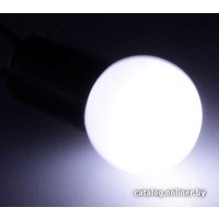 Новогодняя гирлянда Luazon Метраж Шарики Led-50 (6 м, белый) [538717]