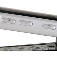 Выпрямитель Remington S9500