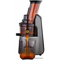 Соковыжималка Goetze & Jensen SJ901T