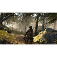 Компьютерная игра PC Rise of the Tomb Raider