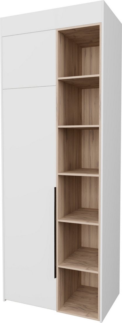 

Шкаф распашной Рэйгрупп Рэй S262-B2-EBЕ В2 (дуб элисон/белый премиум)