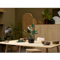 Конструктор LEGO Creator Expert 10289 Райская птица