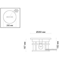 Уличный накладной светильник Odeon Light Virta 4044/1C