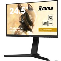 Игровой монитор iiyama G-Master Gold Phoenix GB2590HSU-B1