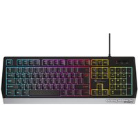 Клавиатура Genesis Rhod 300 RGB