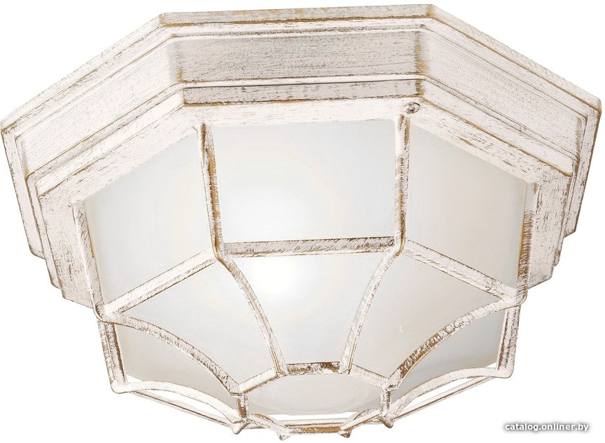 Уличный накладной светильник Arte Lamp Pegasus A3121PF-1WG
