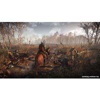 Компьютерная игра PC Ведьмак 3: Дикая Охота