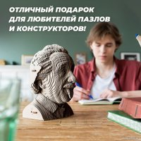 3Д-пазл QBRIX Эйнштейн
