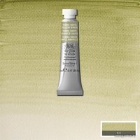 Акварельные краски Winsor & Newton Professional №638 102638 (5 мл, глауконит)