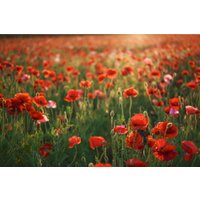 Объектив Sigma 28-45mm F1.8 DG DN Art для Sony E