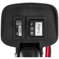 Лодочный мотор Haswing Osapian W-20 в Мозыре