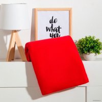 Плед Экономь и Я 6881716 150x200 (красный, 160 г/м2)