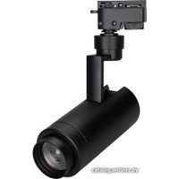 Трековый светильник Arlight LGD-ZEUS-2TR-R67-10W Day4000 025940(1)