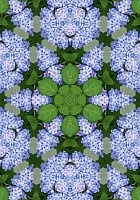 Фотообои Твоя планета Цветочный калейдоскоп (194x272)