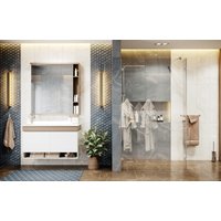 Душевая стенка Ambassador Walk-in 15031107 110х25