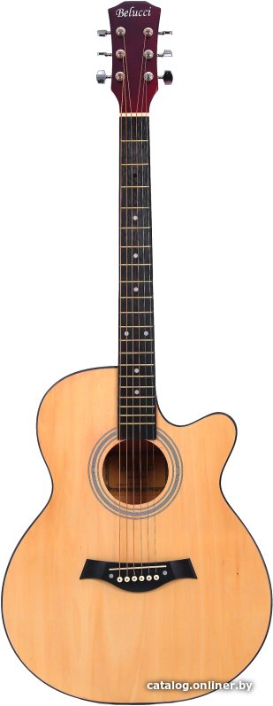 Акустическая гитара Belucci BC4020 N