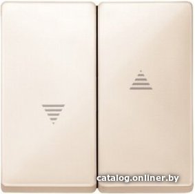 Клавиша для выключателя Schneider Electric MTN411544