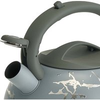 Чайник со свистком Alpenkok AK-540