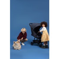 Коляска прогулочная «книга» Anex Air-z (storm Az-01)