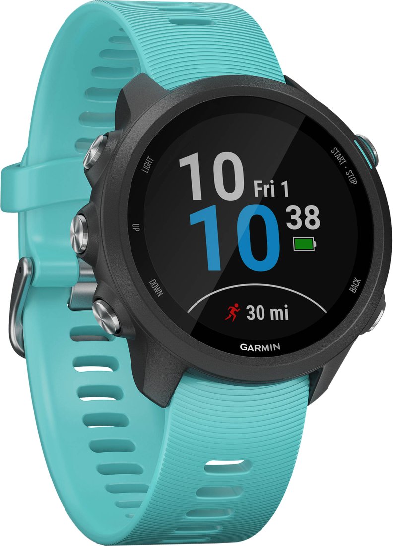 

Умные часы Garmin Forerunner 245 Music (аквамарин)