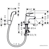 Смеситель с лейкой для биде Hansgrohe Logis 71290000