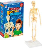 Японские опыты. Человек. Кости и мышцы ВВ4728
