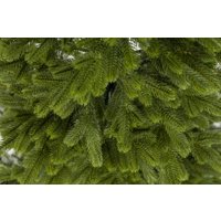 Ель Ёлушка Литая Люблинская ЕЛБЛ 14 (1.4м)