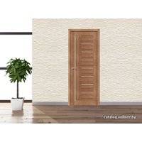 Межкомнатная дверь Portas S29 (орех карамель) в Пинске