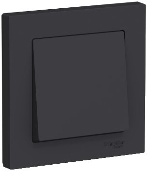 Выключатель Systeme Electric ATN001012